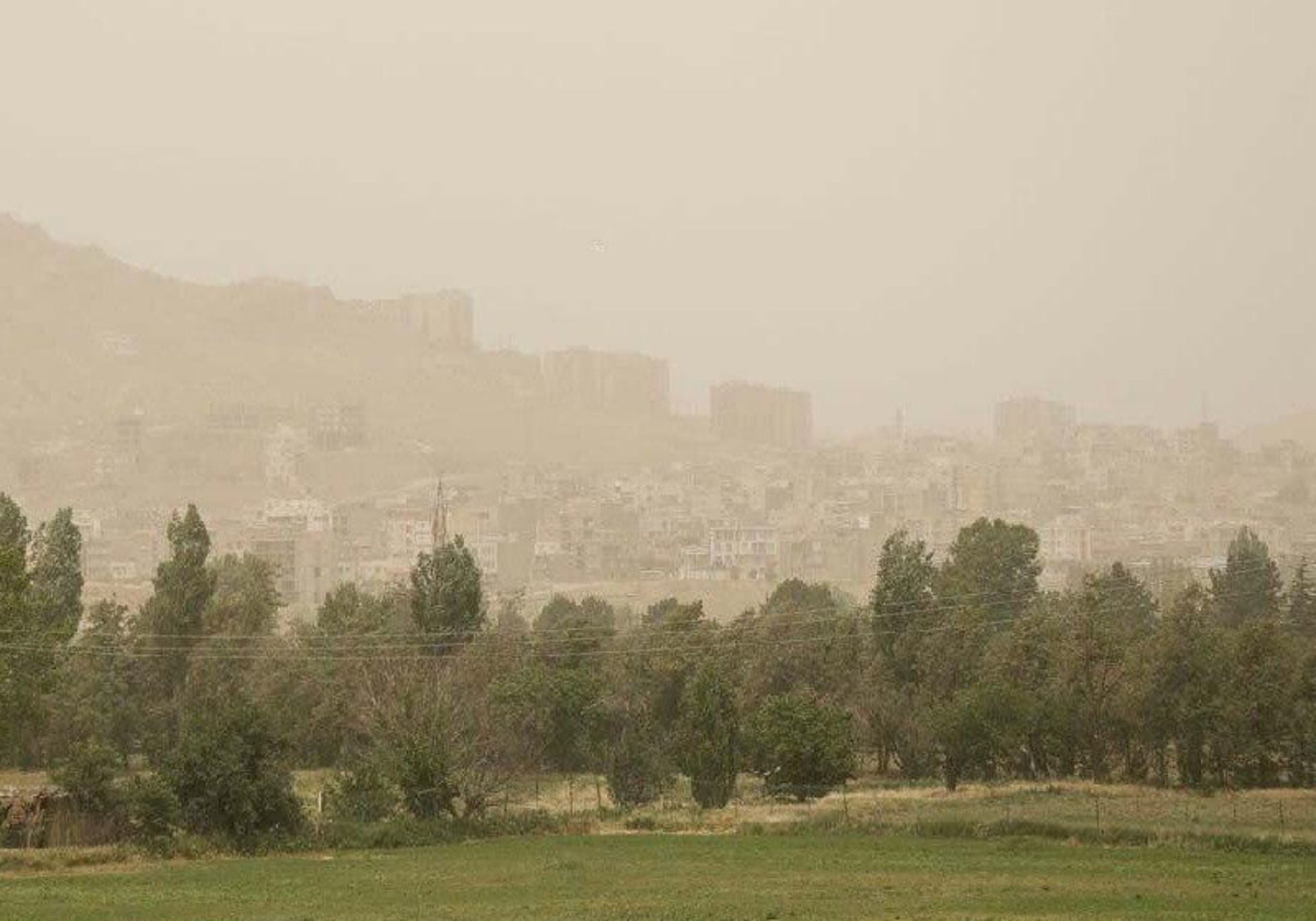 نفس شمال هم بند آمد؛ چتر سیاه دود بر سر جنگلهای سبز 4 آلودگی هوا در شهرهای شمالی