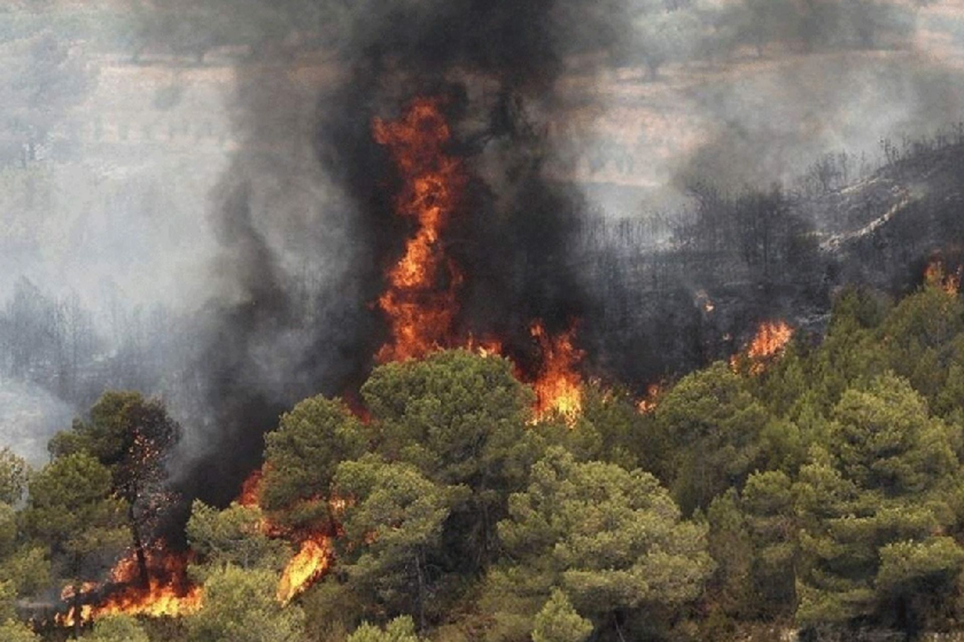روایتی از قلب آتش هیرکانی؛ نگران وزش باد هستیم 3 آخرین وضعیت اطفای حریق هیرکانی