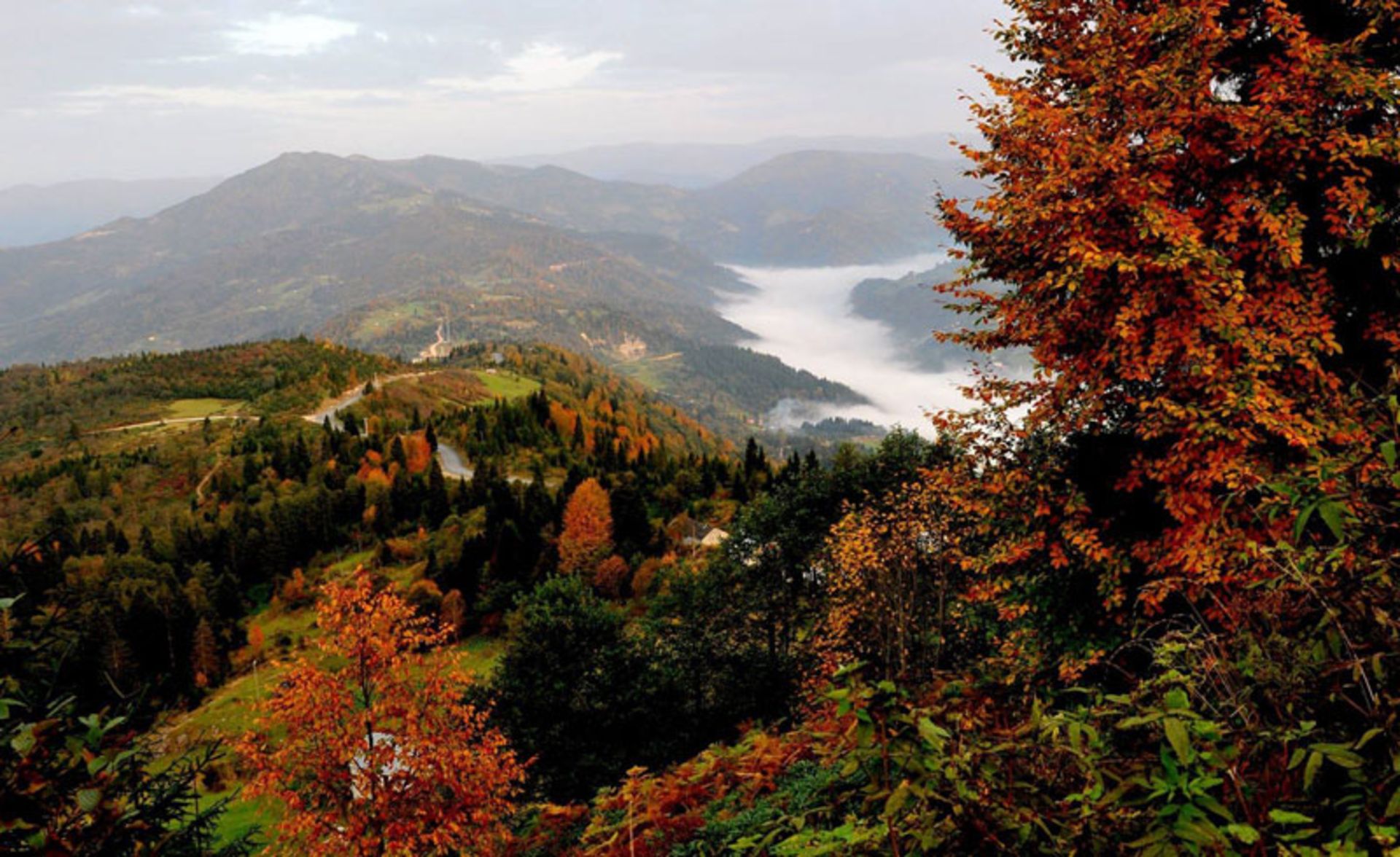 طبیعت پاییزی ترابزون