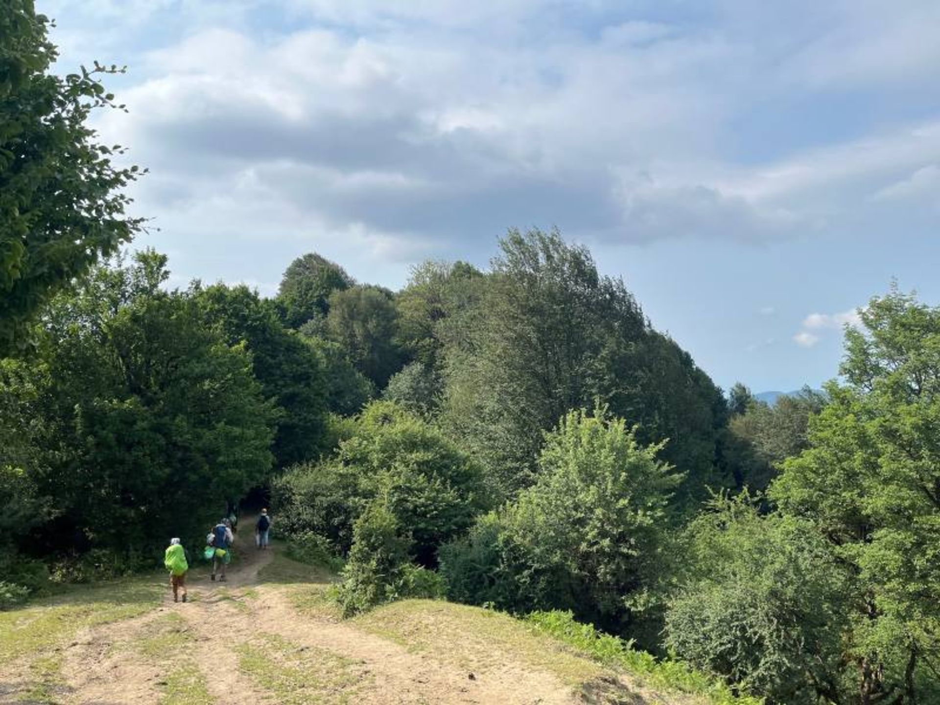 گردشگران در طبیعت سرسبز جنگل الیمستان