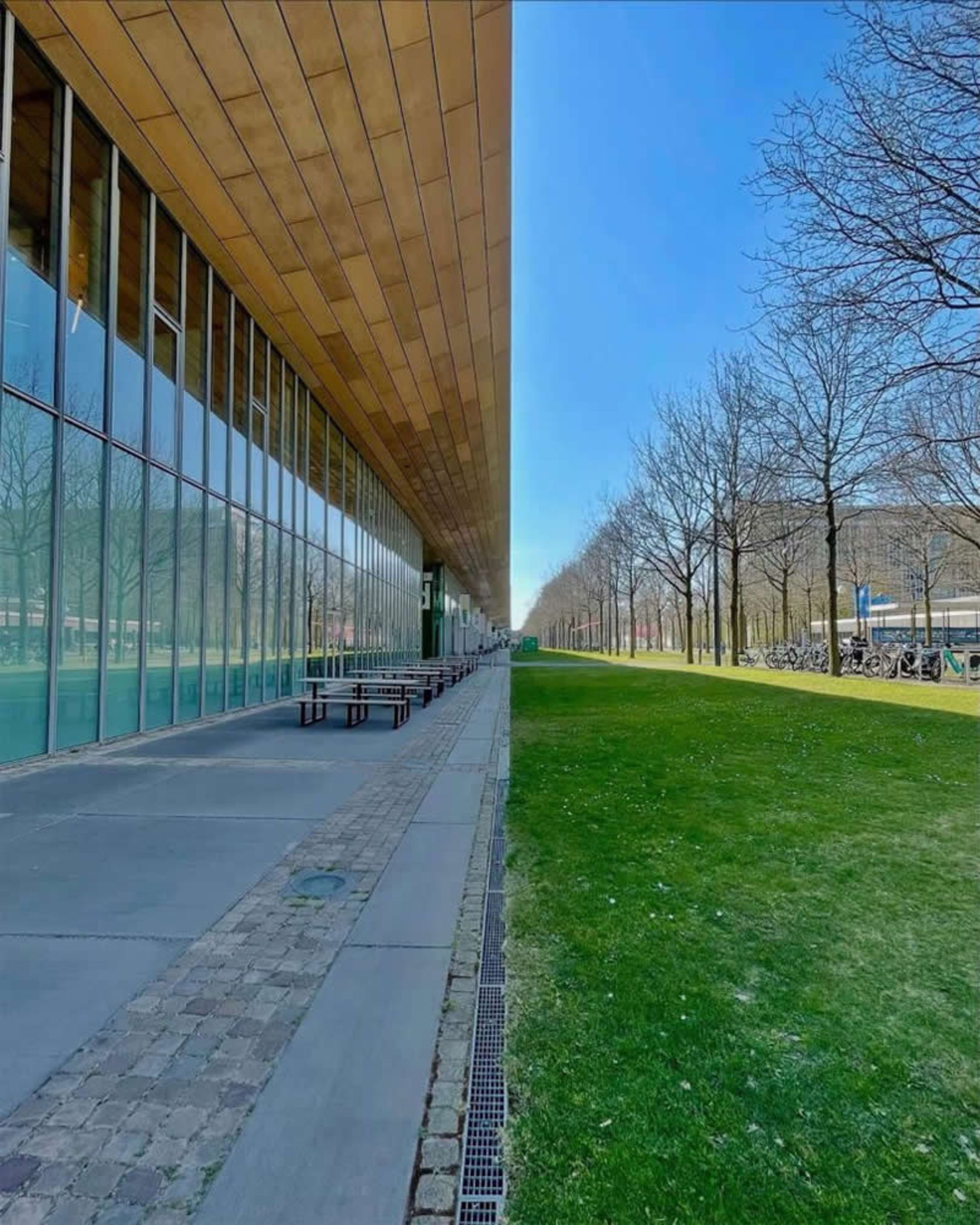 زمینی با دو قسمت چمن و سازه شیشه ای