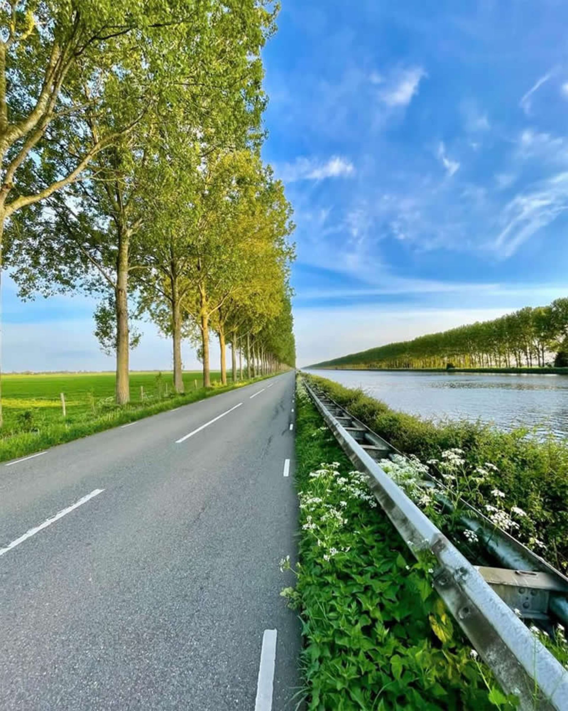 ترکیب رودخانه و جاده شهری در یک قاب