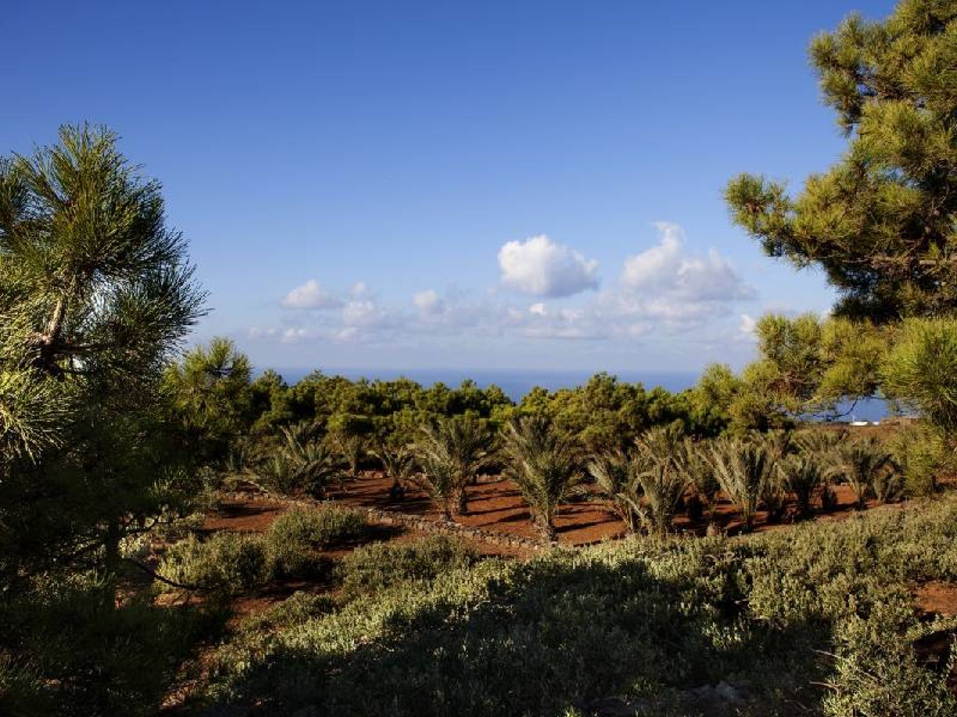 فضای سبز اقامتگاه تنوتا بورجا ایتالیا