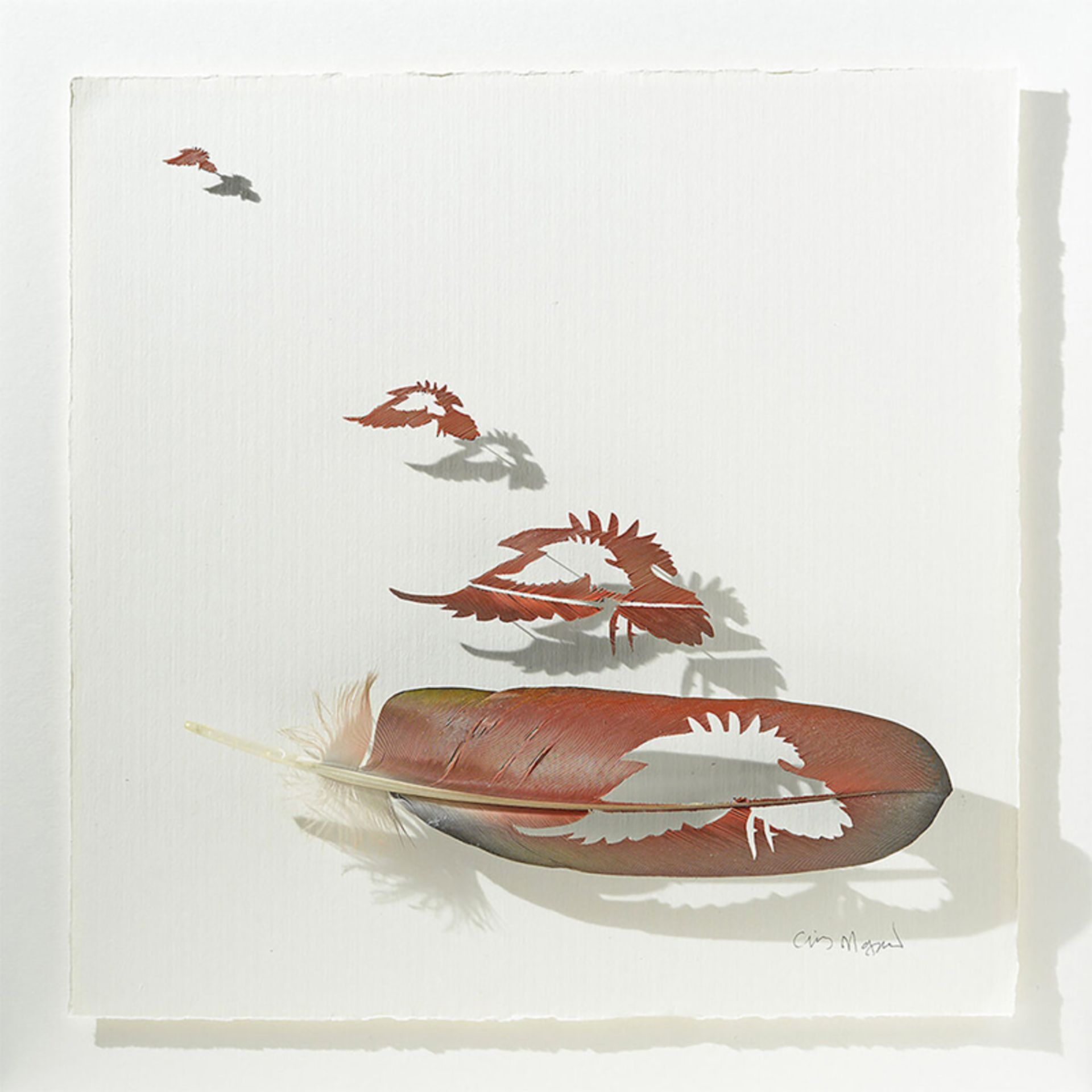 از پر تا پرواز؛ بازآفرینی زیبایی طبیعت در هنر شاعرانه 9 طراحی با پر نارنجی رنگ