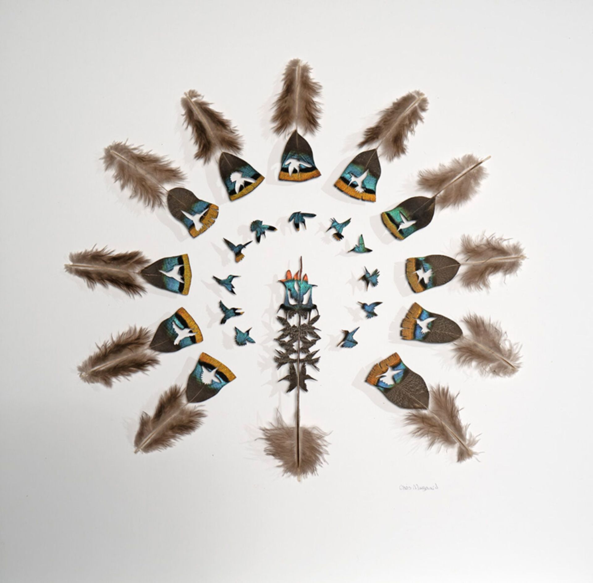 از پر تا پرواز؛ بازآفرینی زیبایی طبیعت در هنر شاعرانه 4 طراحی هنری با پرهای رنگی