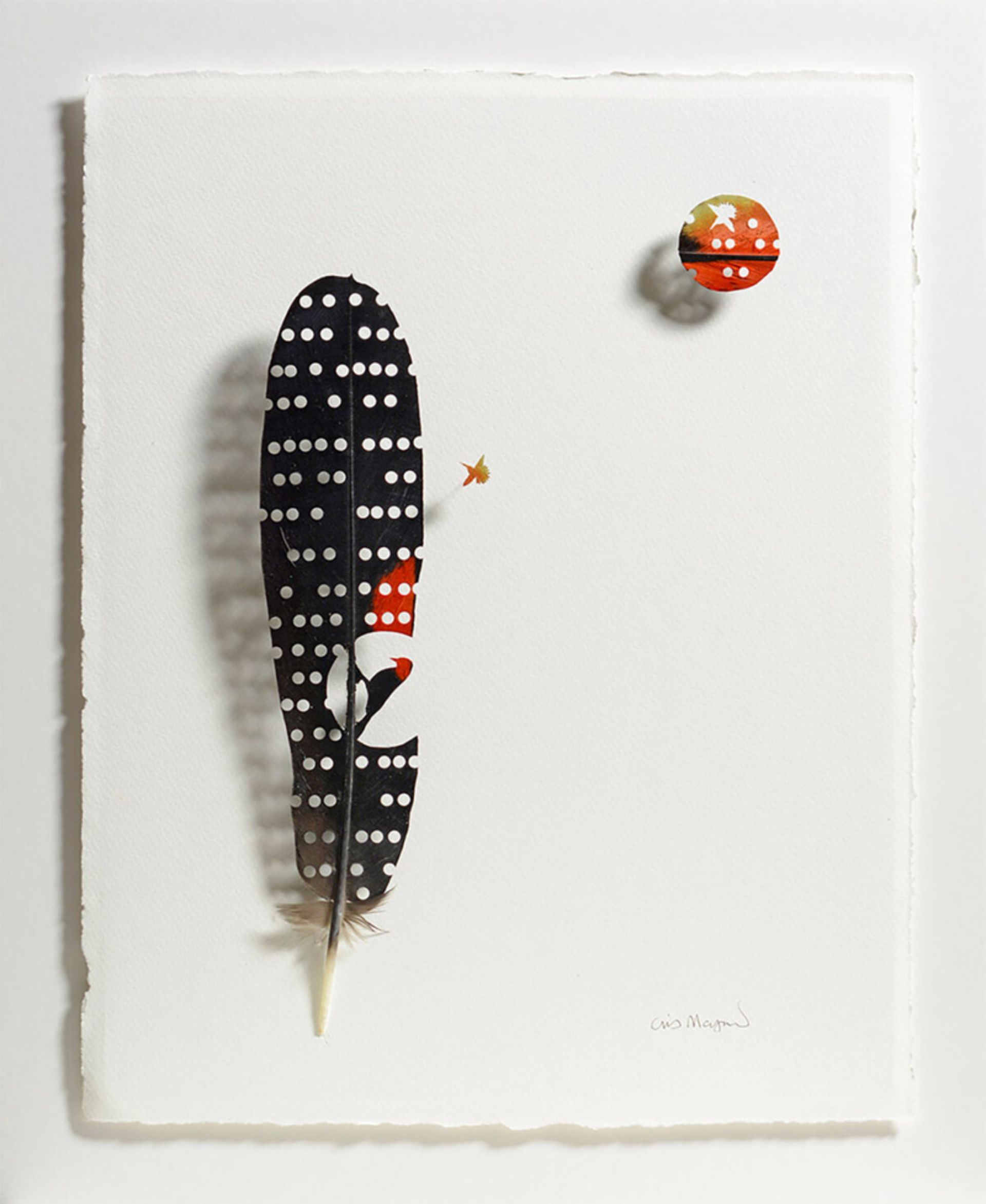 از پر تا پرواز؛ بازآفرینی زیبایی طبیعت در هنر شاعرانه 18 طراحی پرنده با پر سیاه