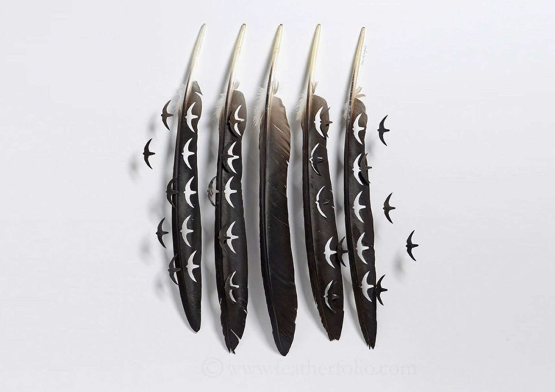 از پر تا پرواز؛ بازآفرینی زیبایی طبیعت در هنر شاعرانه 16 طراحی پرنده با چند پر سیاه