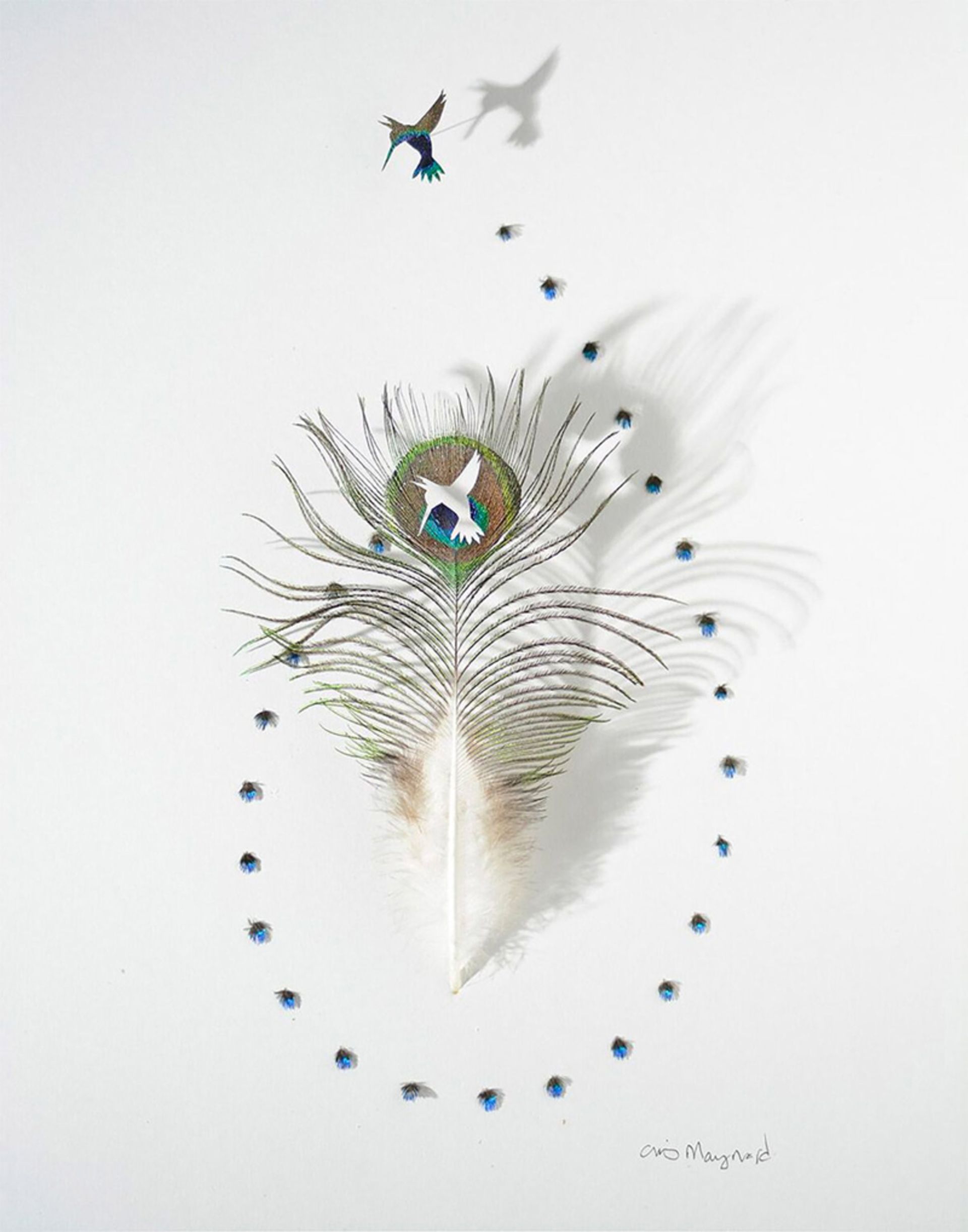 از پر تا پرواز؛ بازآفرینی زیبایی طبیعت در هنر شاعرانه 15 طراحی ب پر سفید