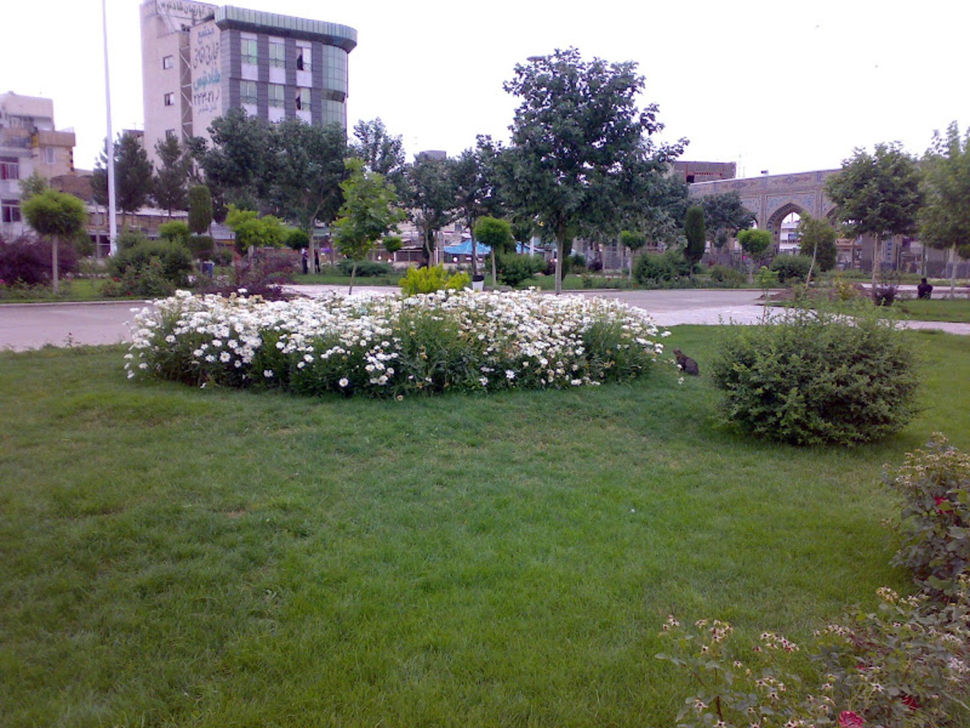 فضای گلکاری شده در باغ رضوان مشهد