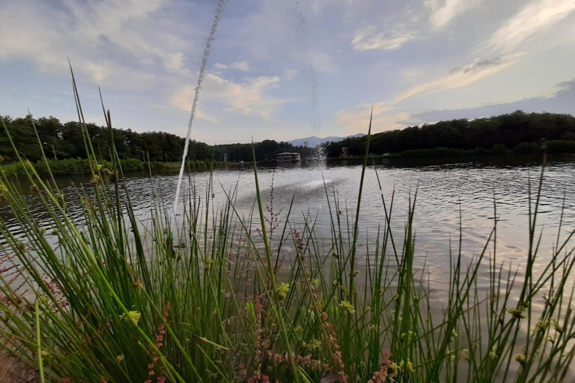 چمنزارهای مجاور دریاچه گیسوم و  آسمان آبی