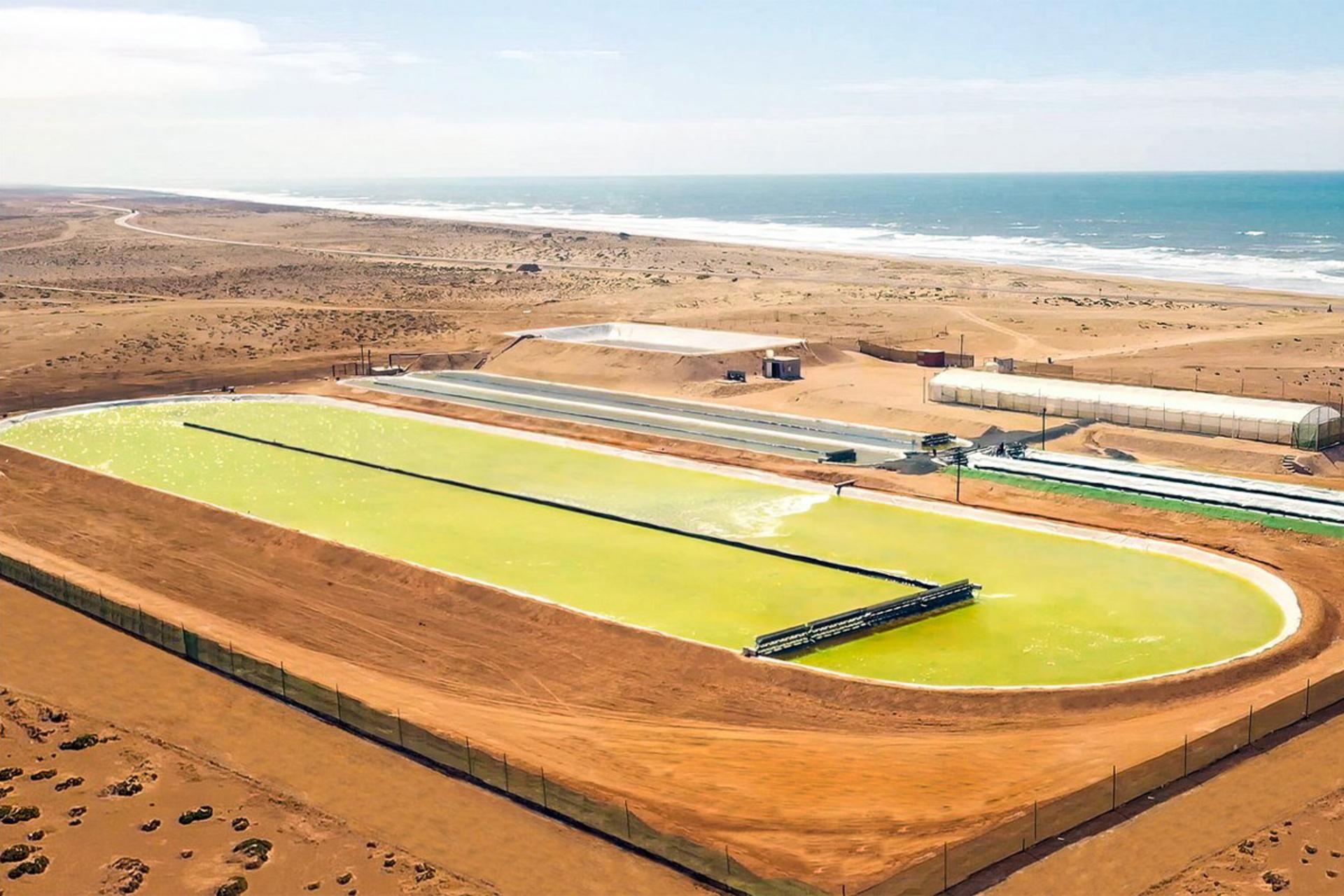 استخر پرورش جلبک در مراکش