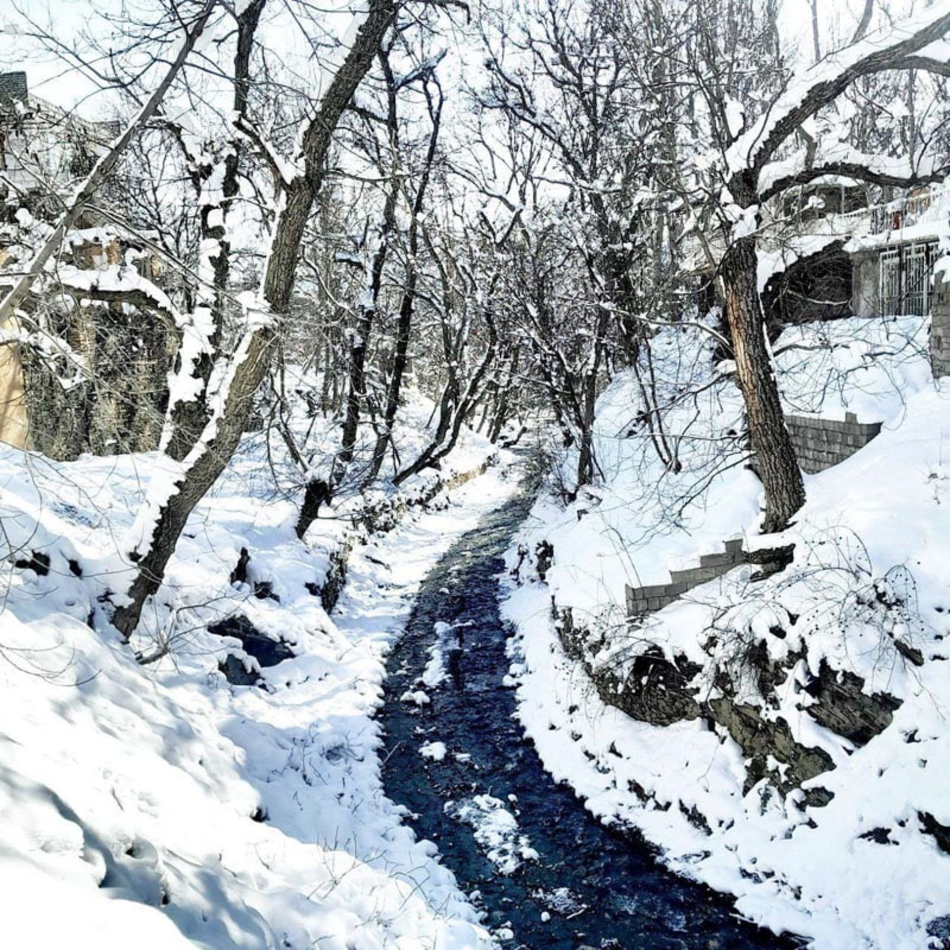 طبیعت زمستانی روستای ازغد