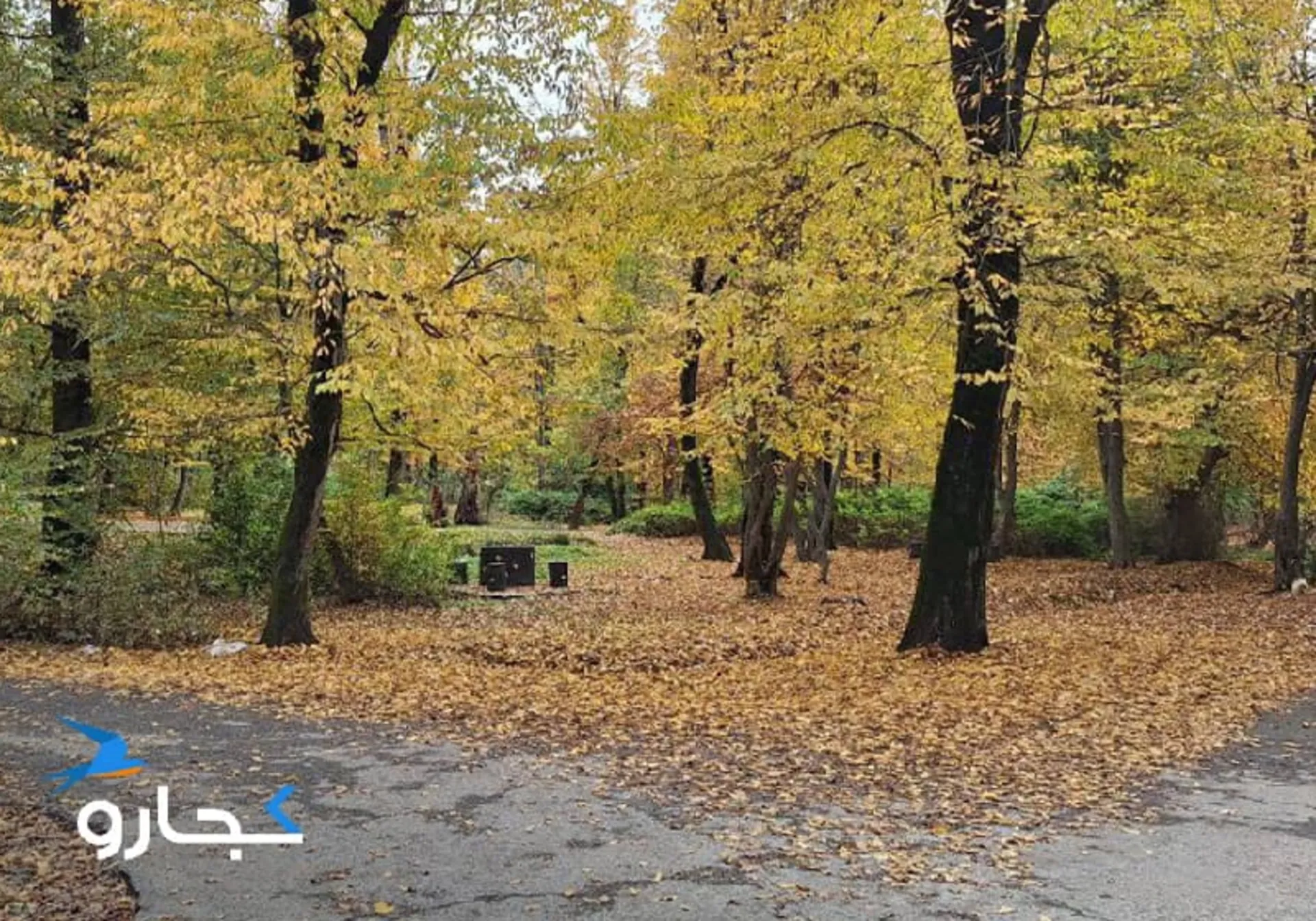 پارک جنگلی قرق