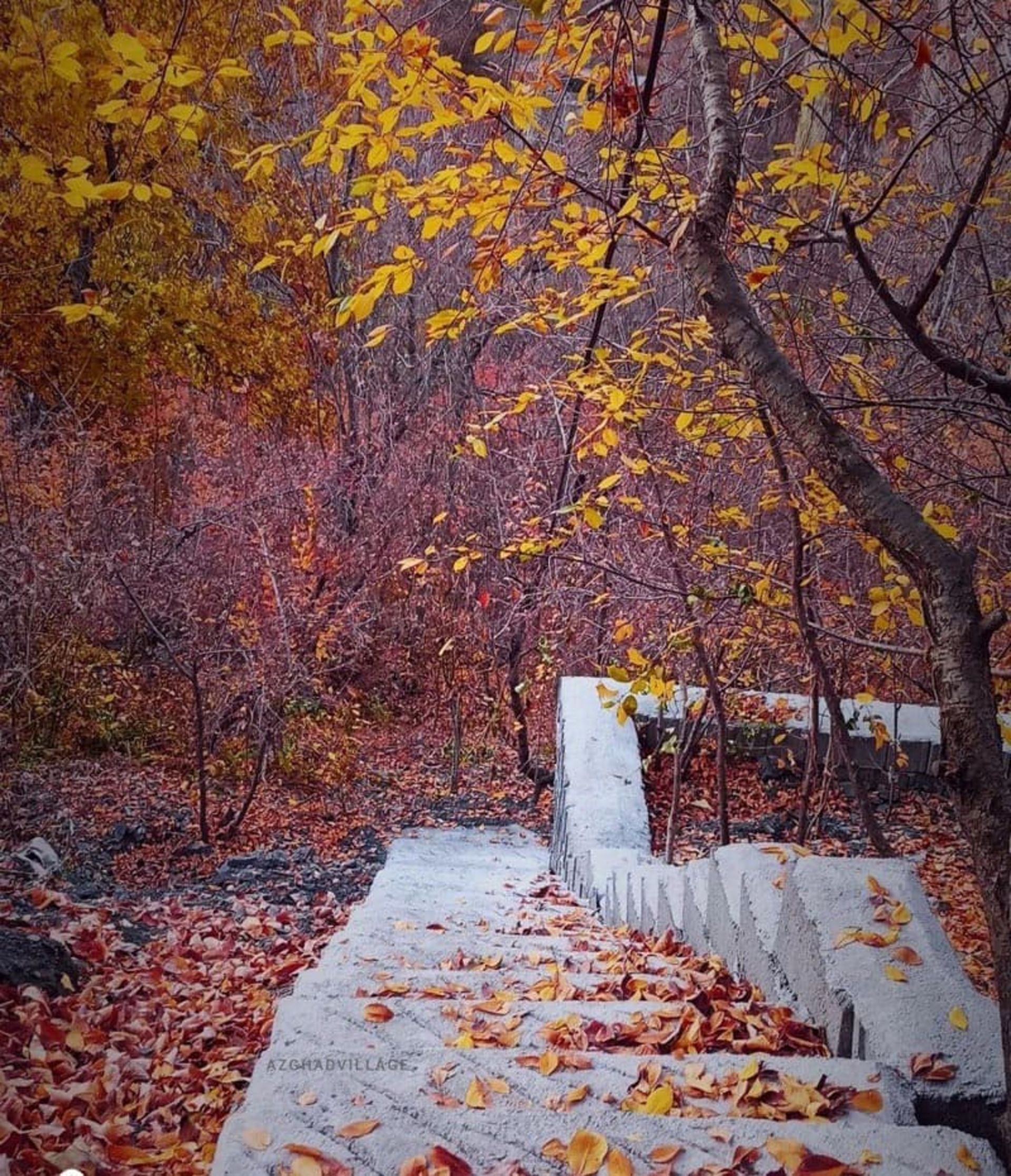 پاییز روستای ازغد