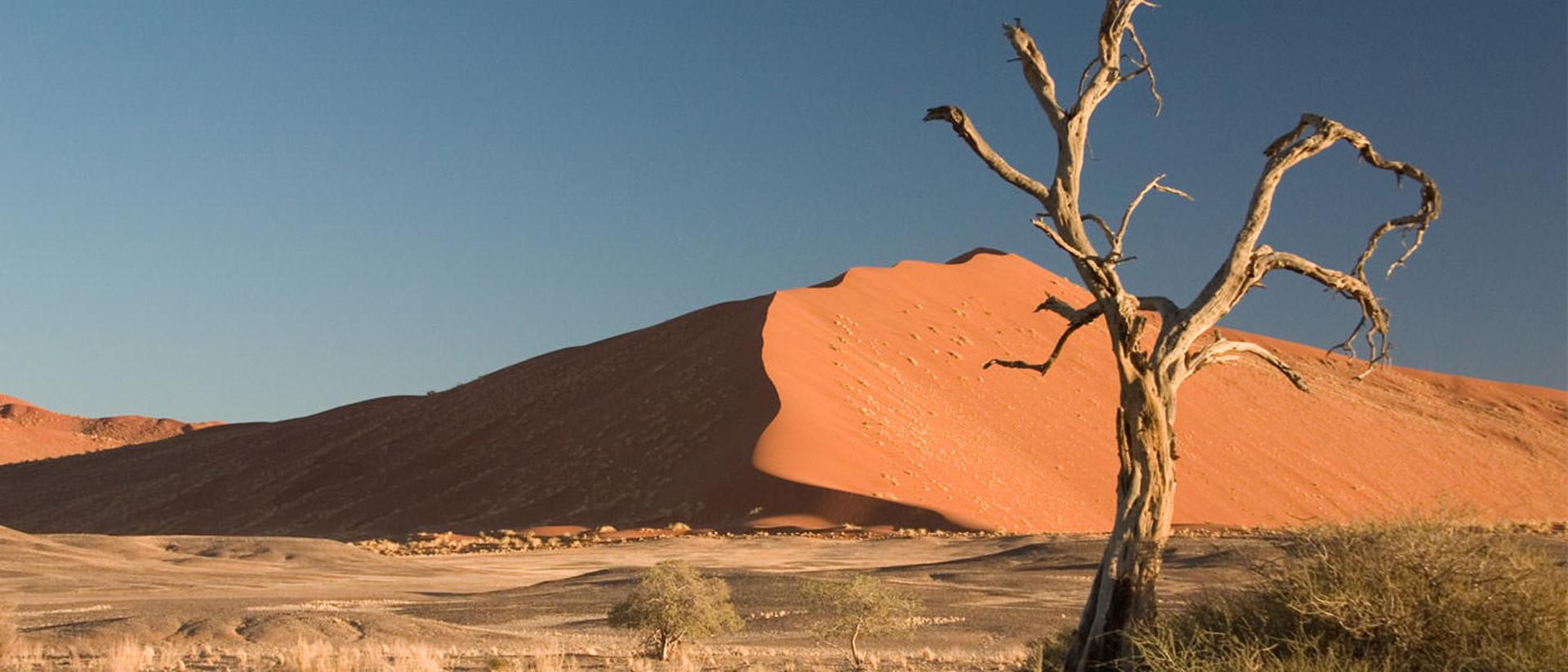 2015-08-thorn_tree_sossusvlei_namib_desert_namibia_luca_galuzzi_2004a.jpg12