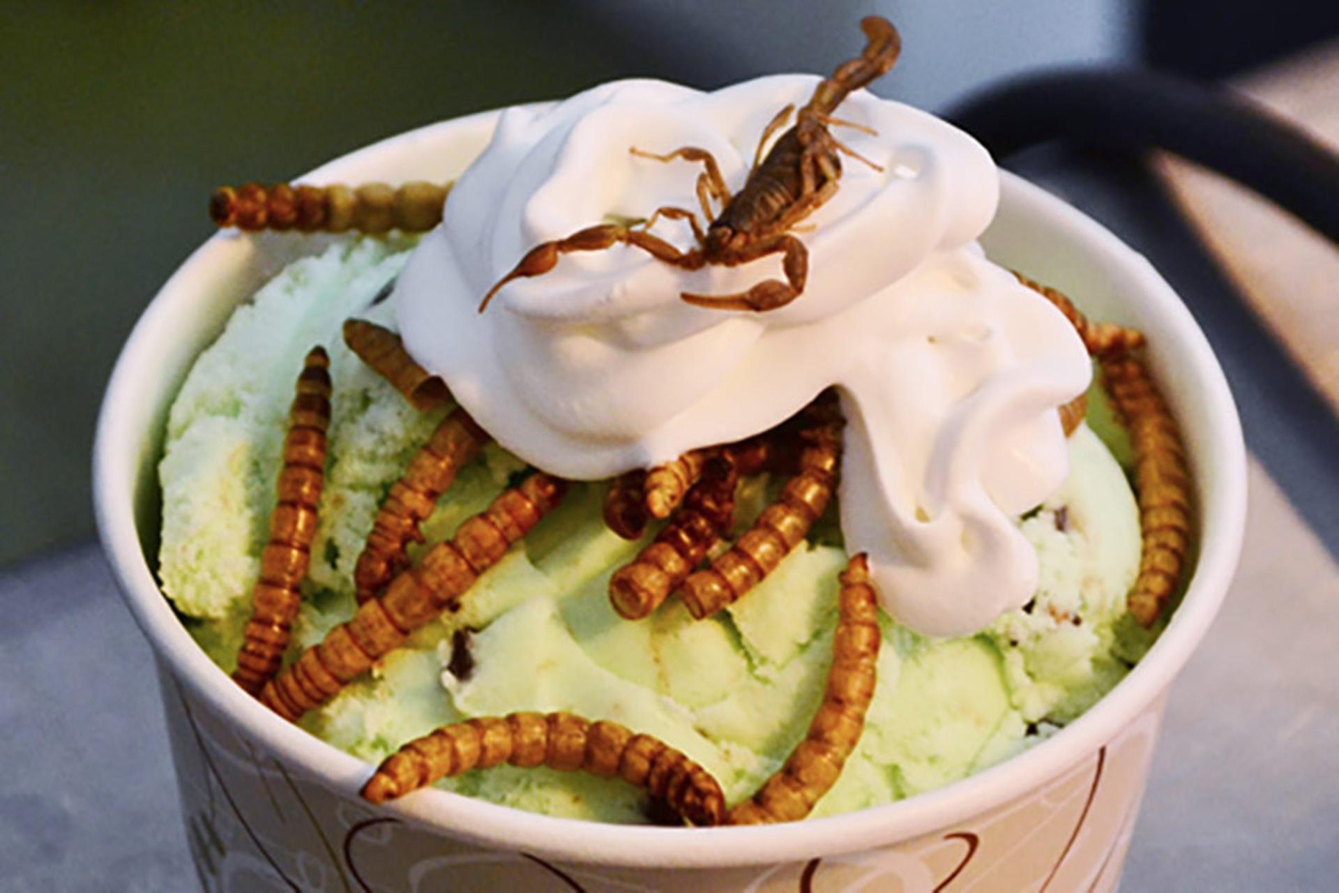 بستنی لارو حشره؛ منبع: psuvanguard؛ عکاس: نامشخص