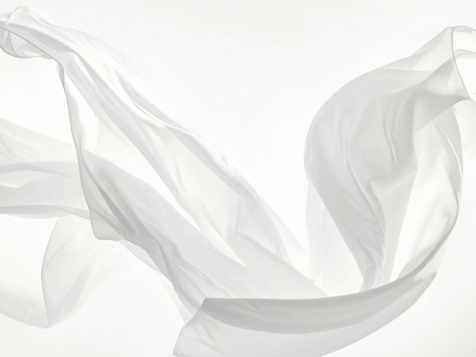 رنگ سال ۲۰۲۶