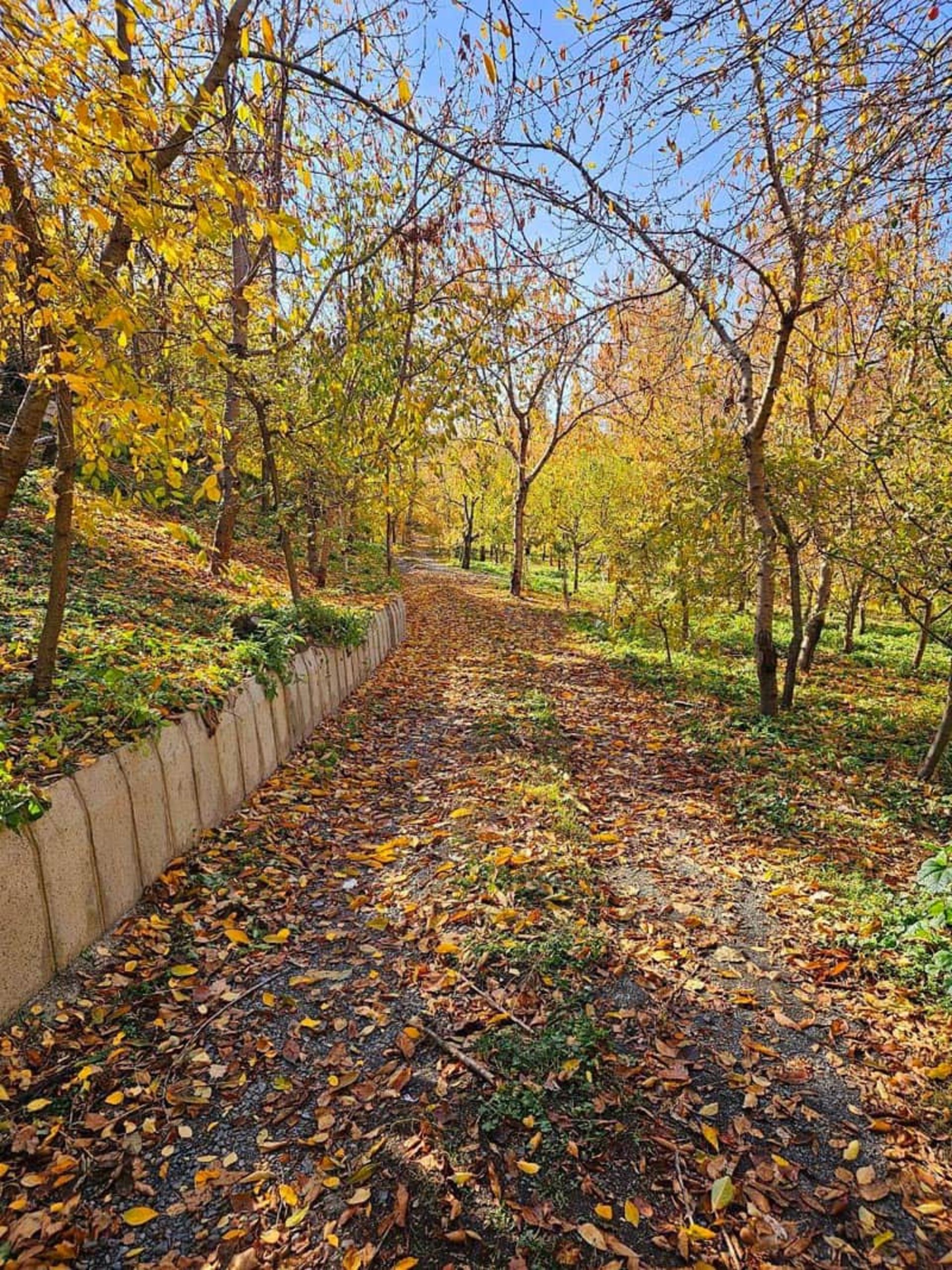 طبیعت پاییزی روستای ازغد