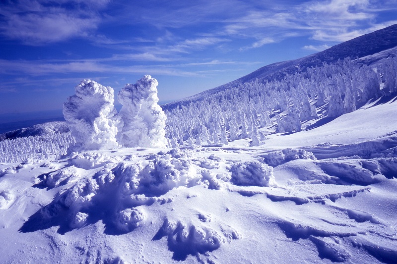 مرگ خاموش هیولاهای برفی؛ ستونهای یخی که آب میشوند 7