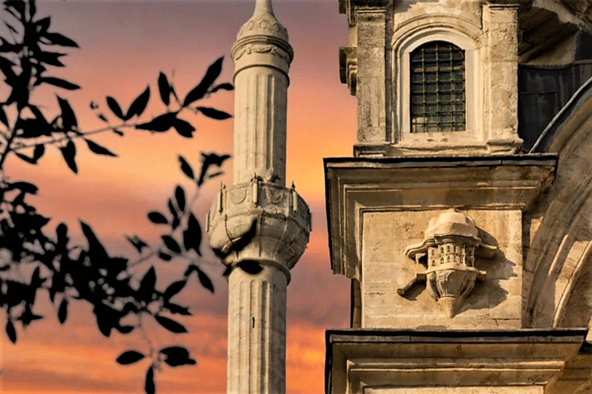 مناره و لانه پرنده در غروب استانبول