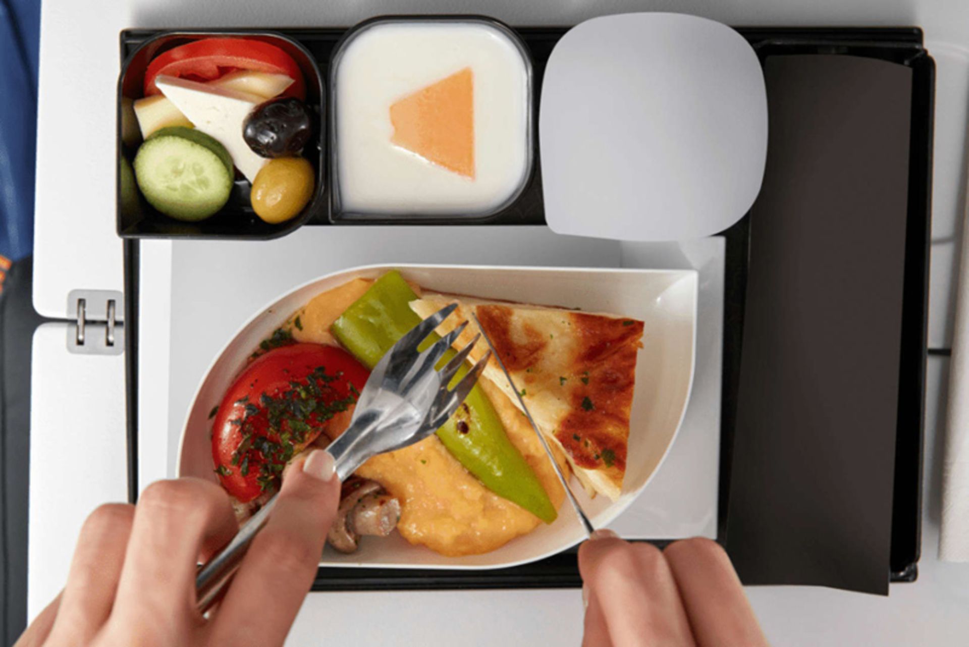 سینی غذای مخصوص هواپیما