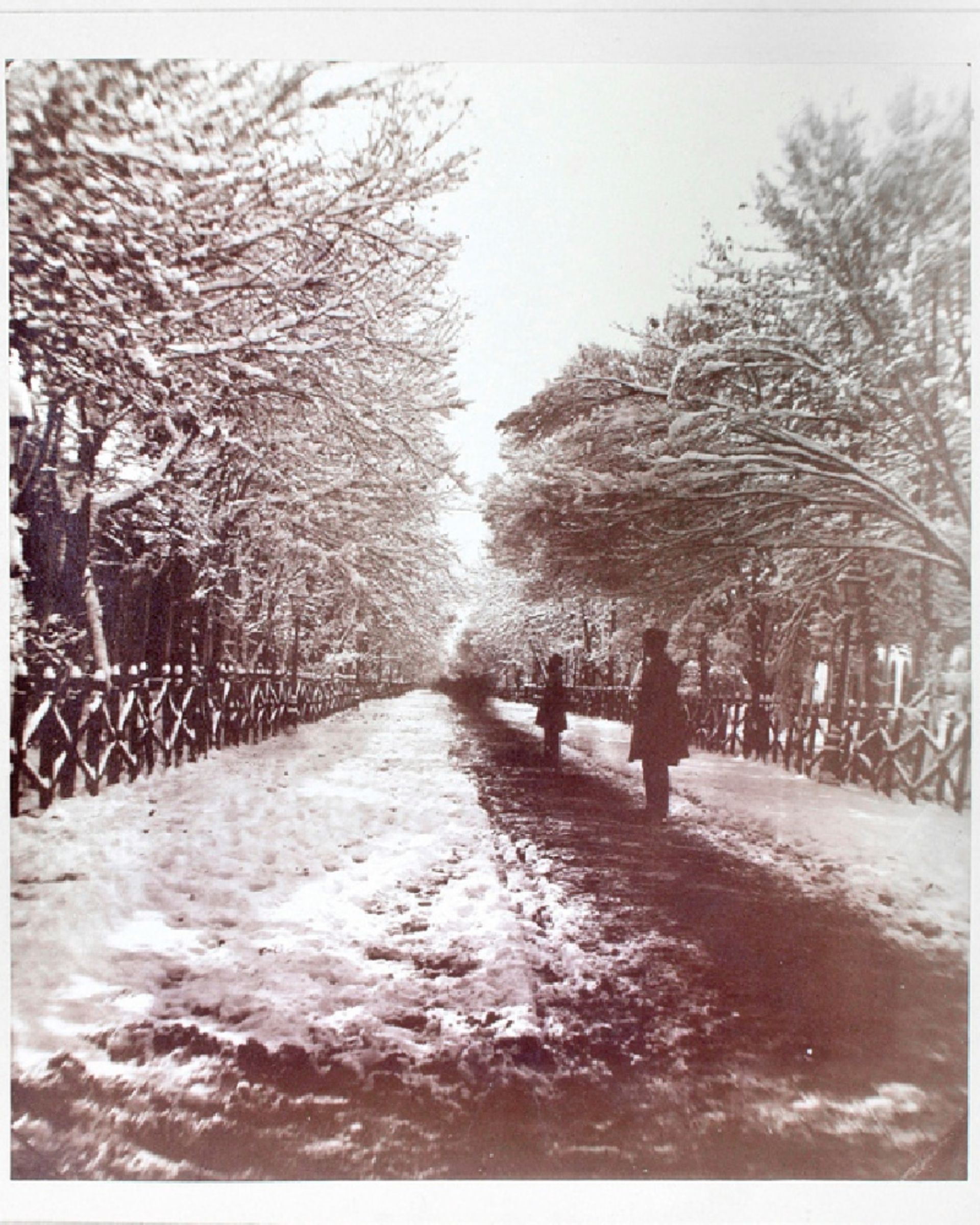 برف در تهران قاجاری؛ عکسی که تهران برفی را جاودانه کرد 4 تهران برفی در دوره قاجار