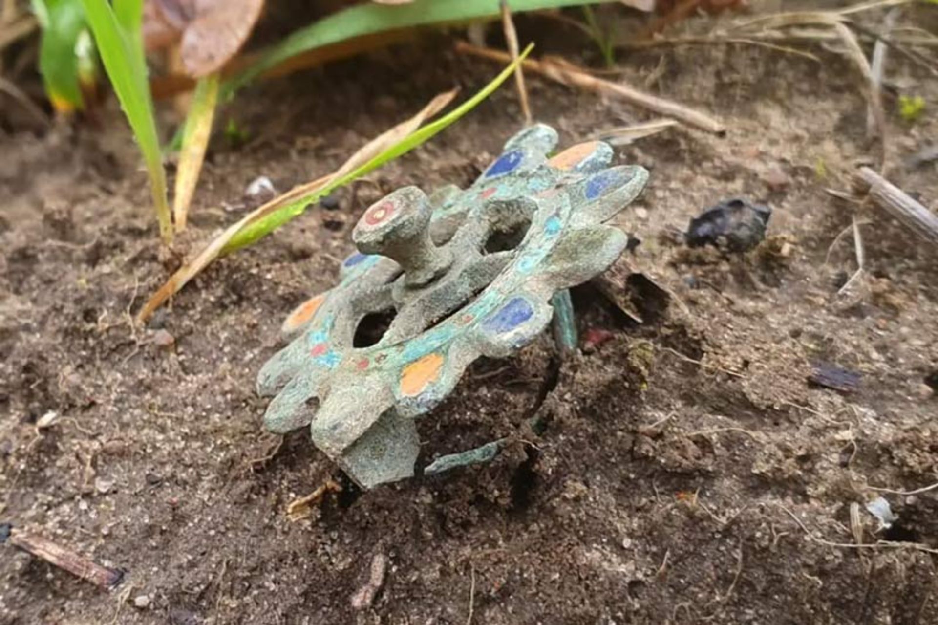 نمای جانبی فیبولا و برجستگی مرکزی آن