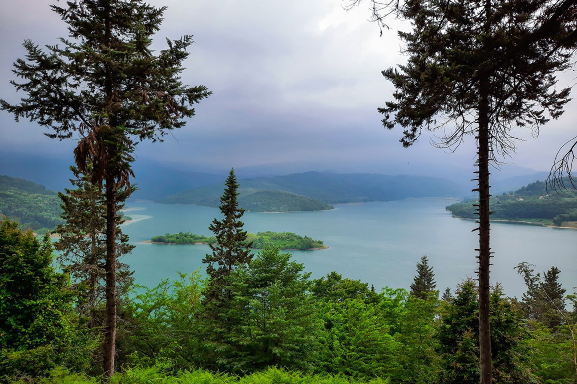 چشم انداز سد لفور در محاصره جنگل های سرسبز