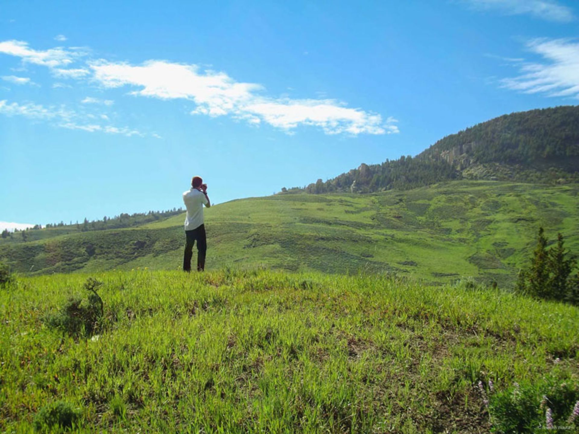 عکاسی در طبیعت کوهستانی