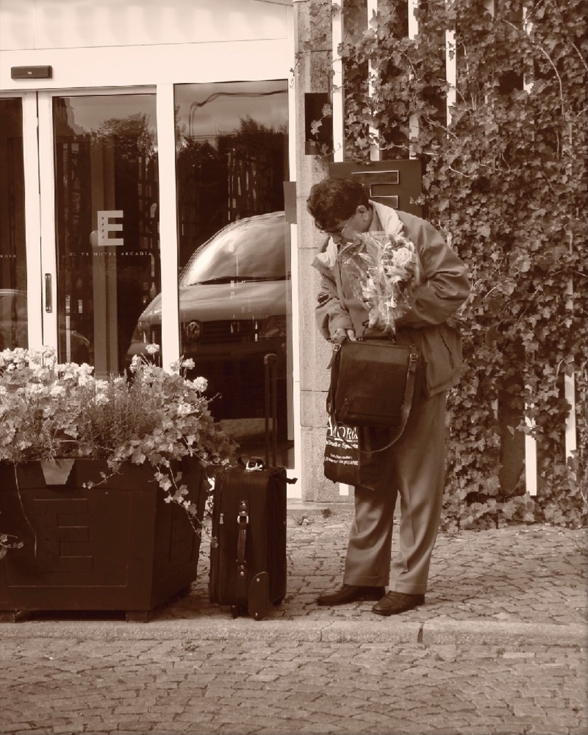 نمایشگاه عکس های محمدرضا شجریان