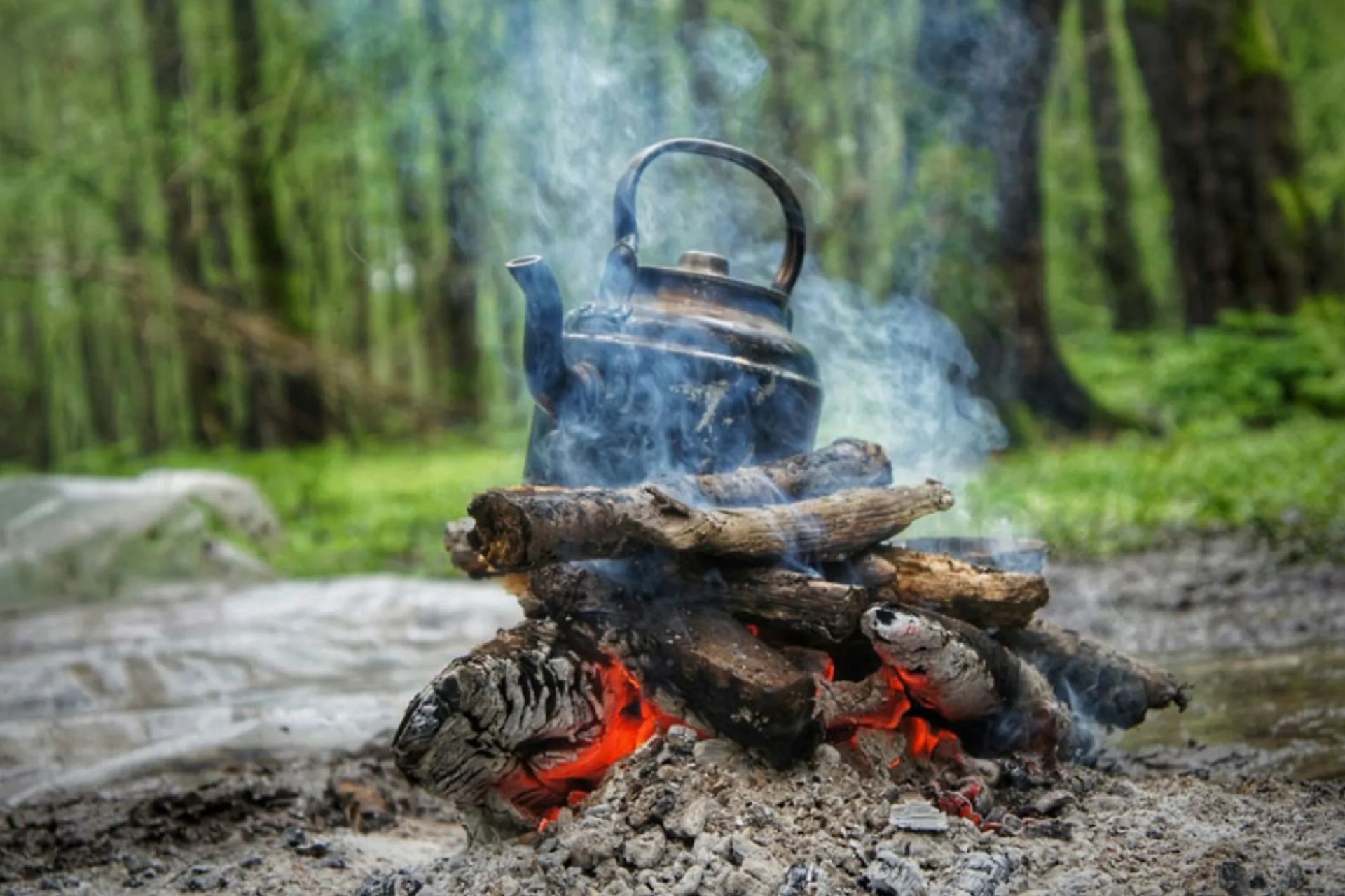اقامت شبانه در جنگلهای آمل ممنوع شد 3 ممنوعیت شبمانی در جنگل
