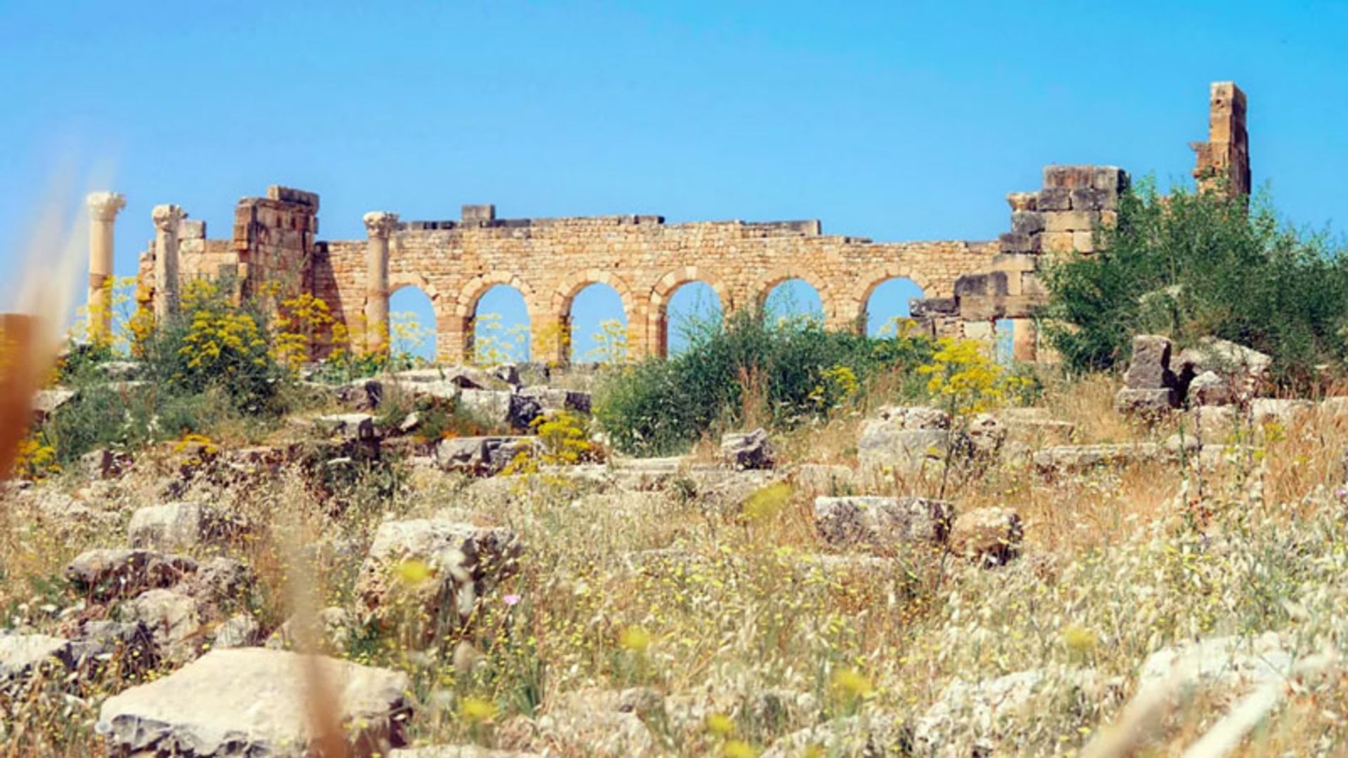 ویرانه‌های سنگی رومی ولیلی در میان مزارع خشک و گل‌های زرد