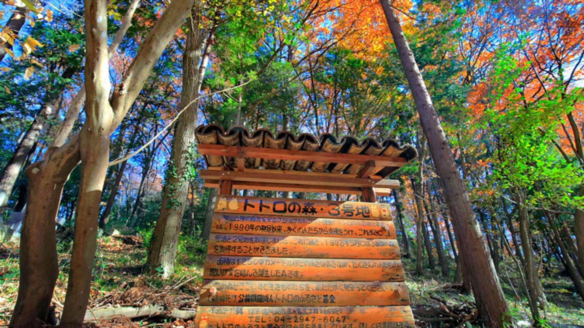 تابلوی چوبی «جنگل توتورو»؛ اثر استودیو جیبلی