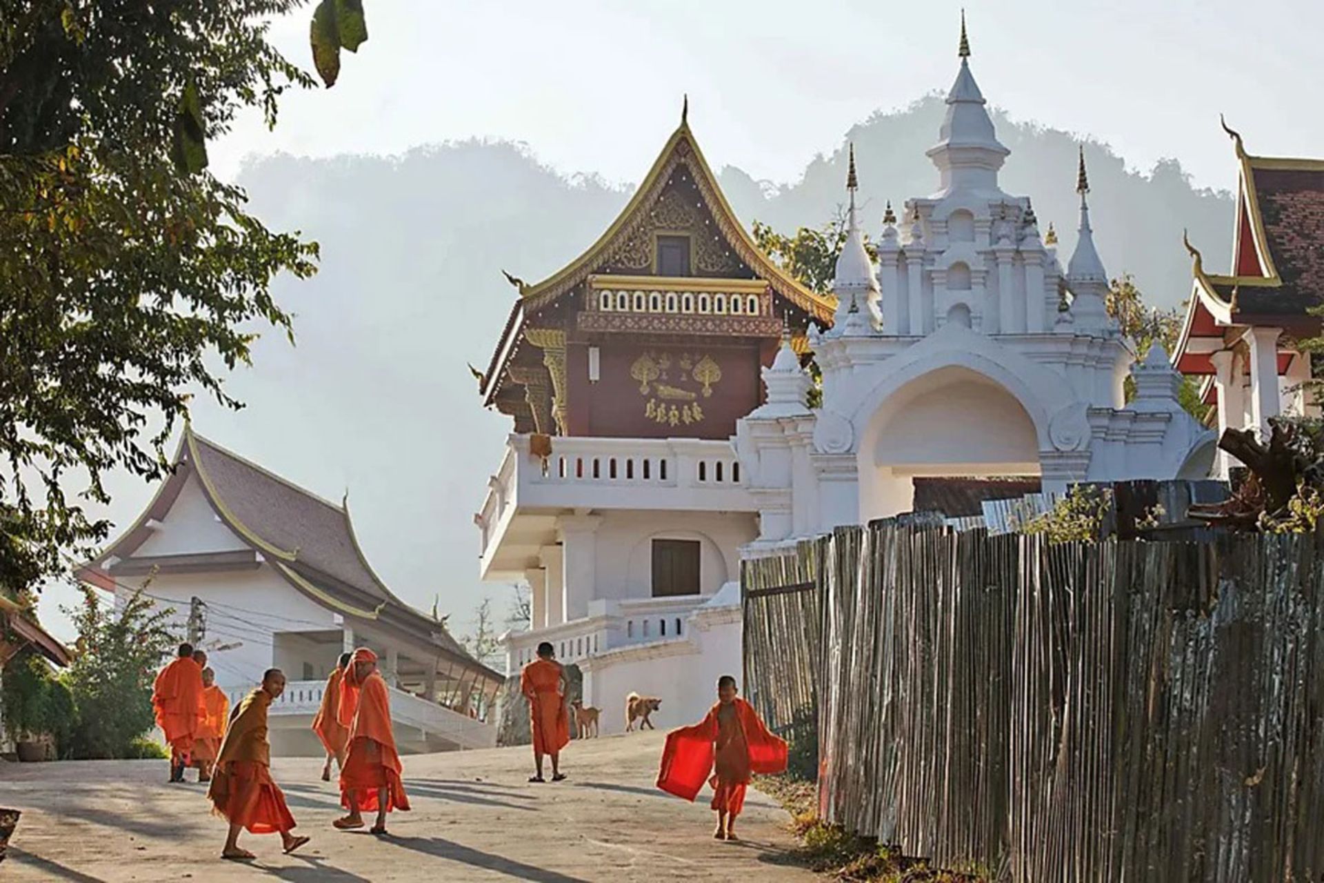 چند راهب با لباس‌های نارنجی در حال راه رفتن در خیابانی نزدیک معابد بودایی 