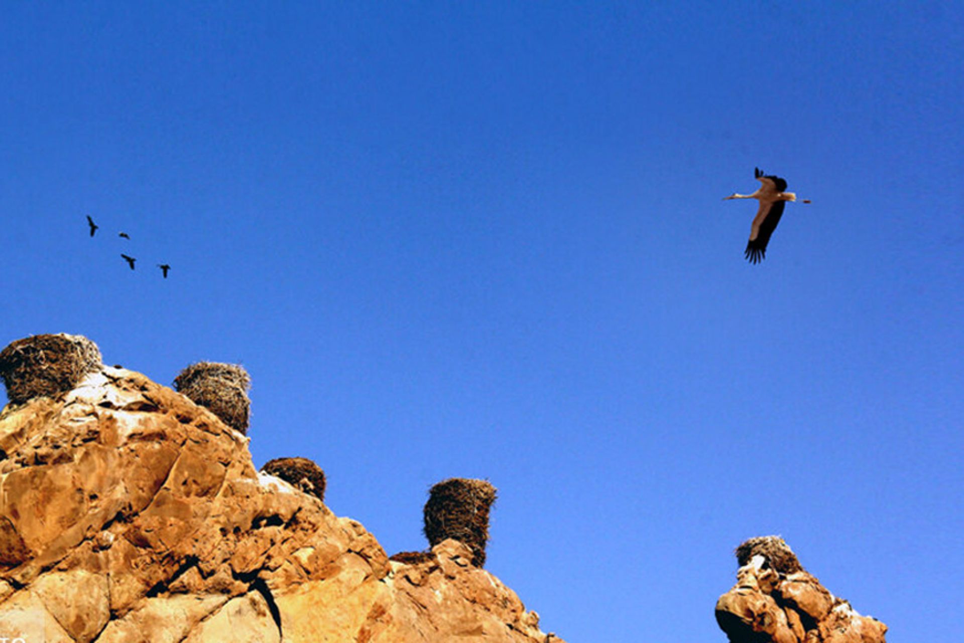 قلعه لک‌لک‌ها در روستای شکورچی