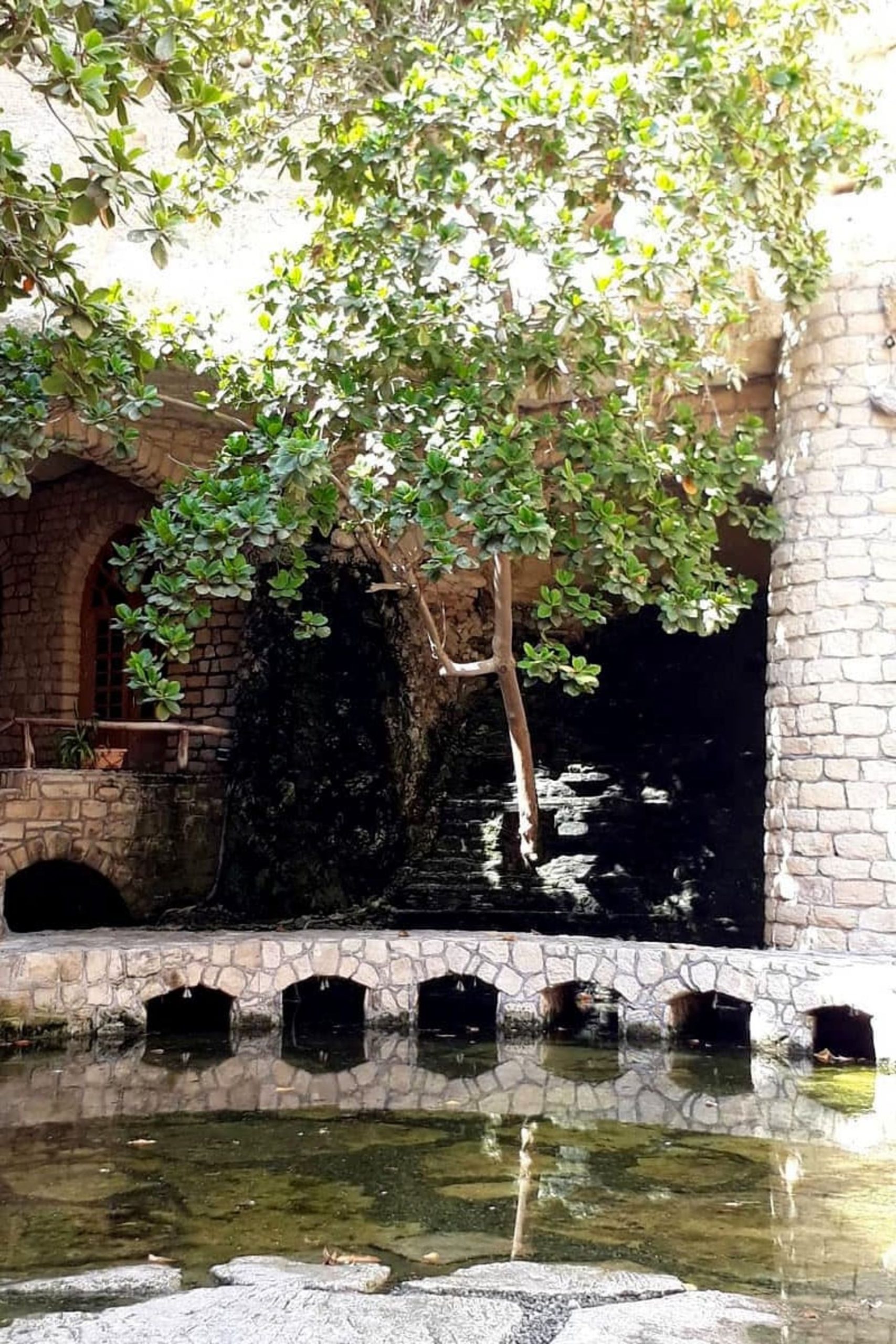 حوض آب فضای بیرونی کاریز کیش