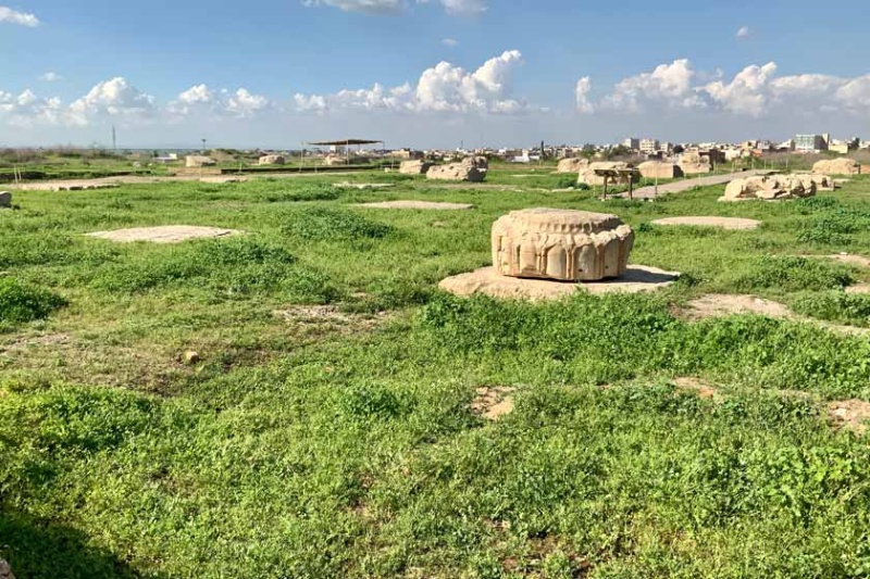 سند مالکیت کاخ «آپادانا» اهدا شد 7