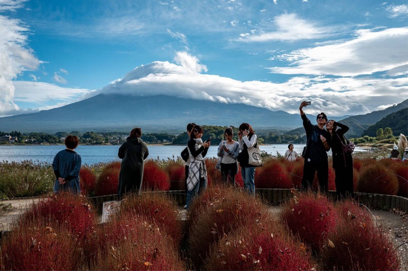 ژاپن جشنواره مشهور شکوفههای گیلاس را به دلیل «گردشگری افراطی» لغو کرد 9