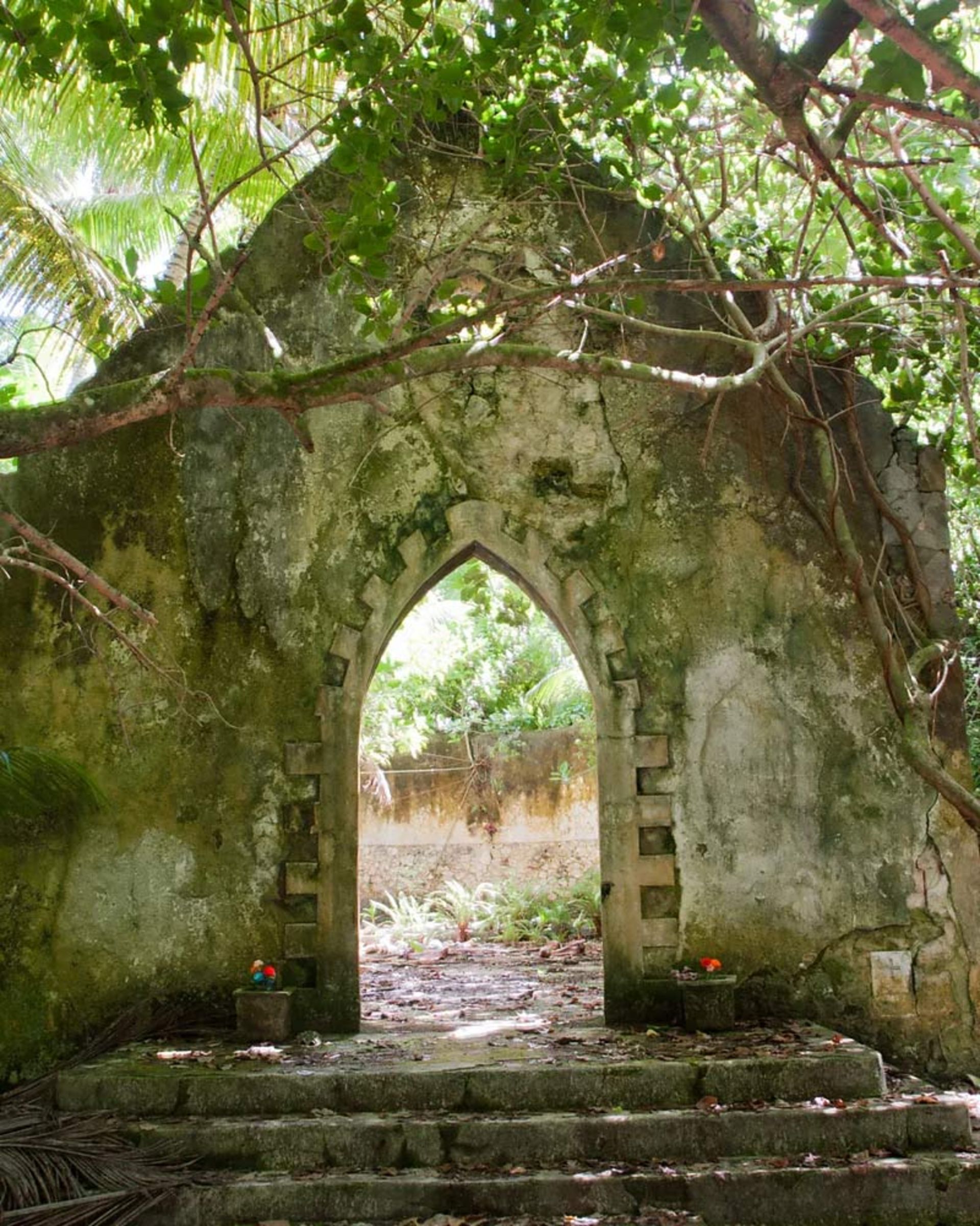 ویرانه‌های سنگی یک کلیسای قدیمی پوشیده شده با خزه و گیاهان جنگلی